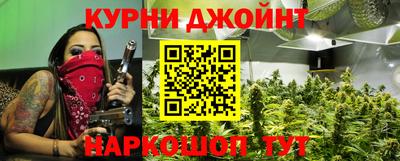 гидра Бердск
