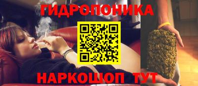 тгк Белореченск