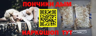 гидра Бердск