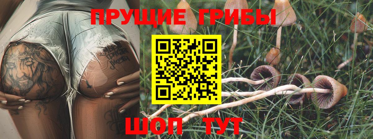 Псилоцибиновые грибы прущие грибы Сочи